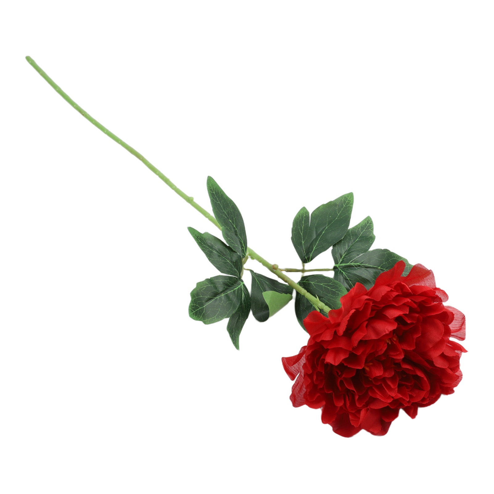 Buy With Confidence Fake Flowe - Home Office Buy recensione e prezzo